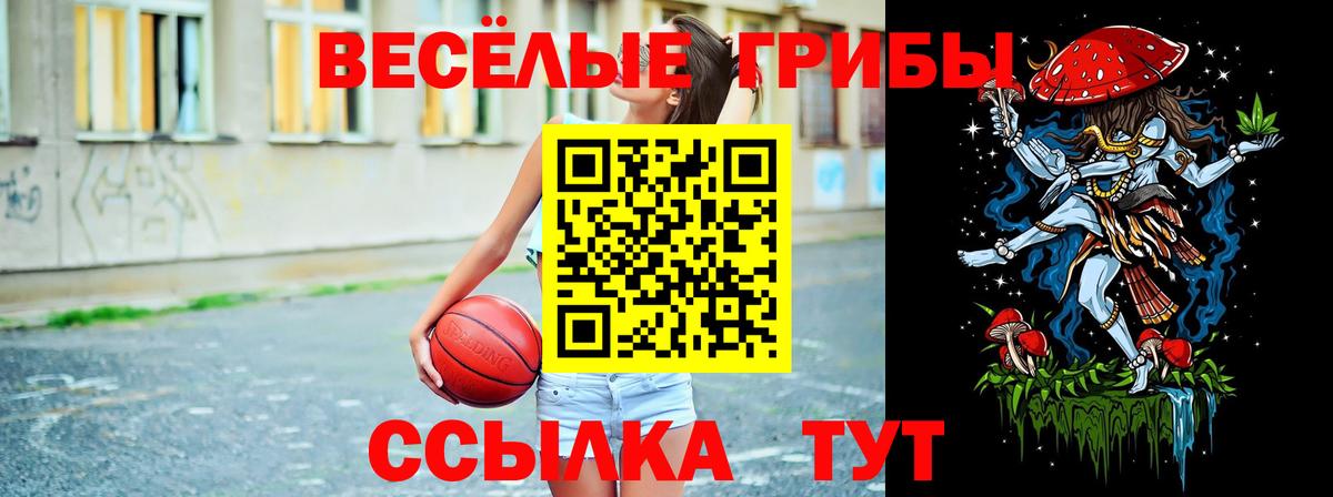 Галлюциногенные грибы GOLDEN TEACHER  Галлюциногенные грибы MAGIC MUSHROOMS  Вход с VPN  Долгопрудный 